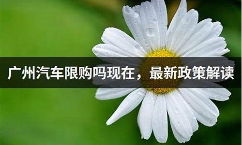 广州汽车限购政策2023新规定_广州汽车